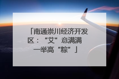 南通崇川经济开发区：“艾”意满满 一举高“粽”
